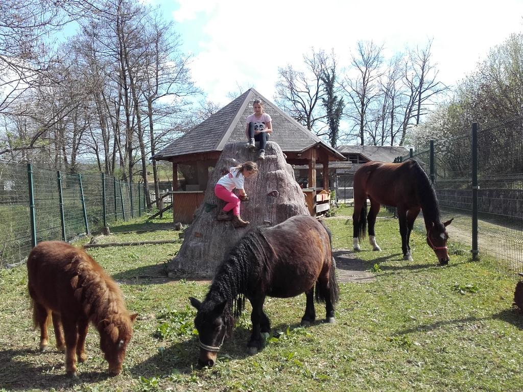 Guesthouse Zorko Gostilna Domen シュマリェシュケ・トプリツェ エクステリア 写真